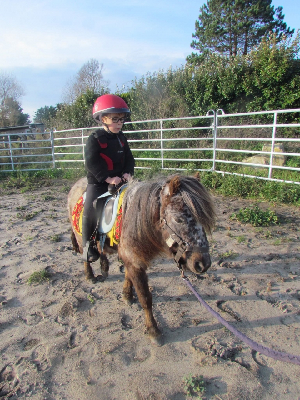  Paseo en pony en Plouguerneau 