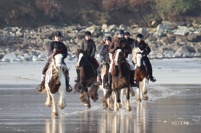 Emociones a caballo 