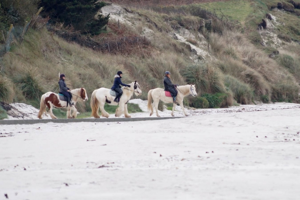  Explorar los senderos de Finisterre a caballo 