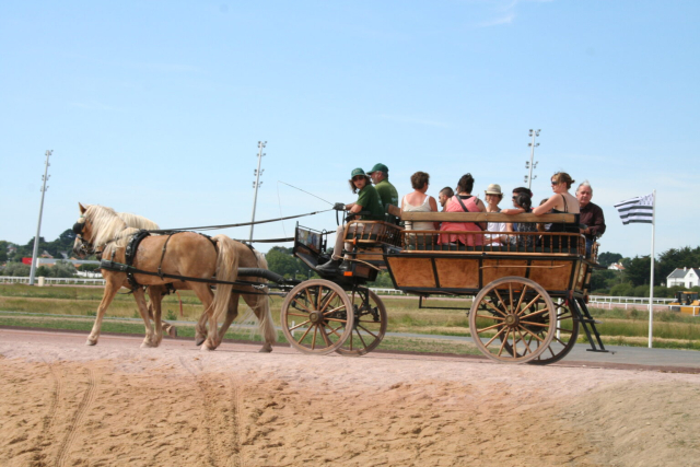 Paseo en carruaje + recorrido por la campiña de Brie 2h30 niño