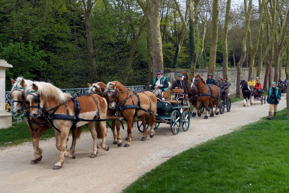 Paseo en carro de caballos por la campiña de Brie 