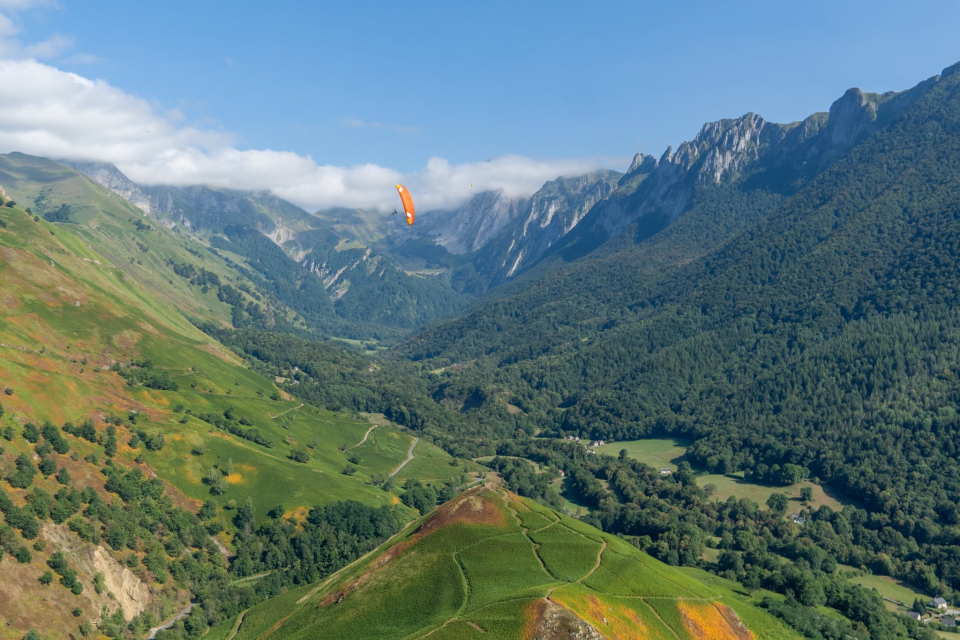  Vuelo sobre un valle boscoso, al pie de los acantilados 