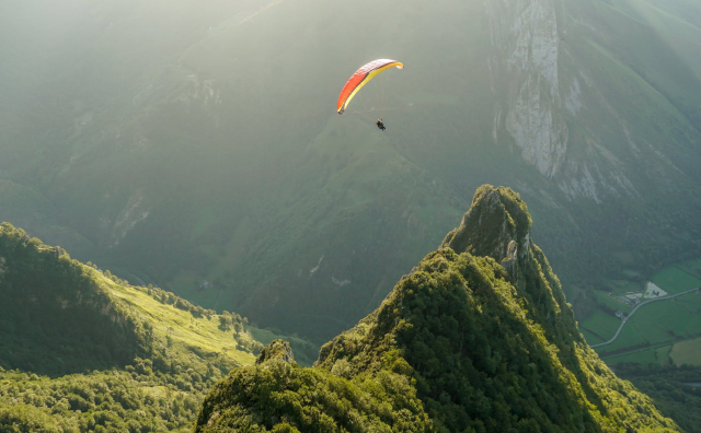  Vuelo a contraluz sobre una cresta boscosa