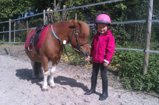 Paseo en pony 30 minutos en Chamoy, de 3 a 5 años