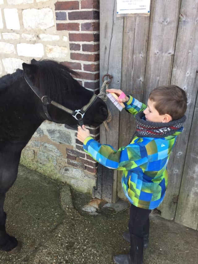  Un niño le pone el cabestro a su pony 