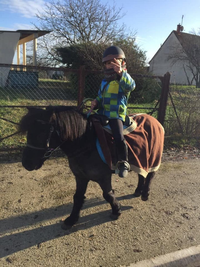  Un niño en la silla de un pony Shetland 