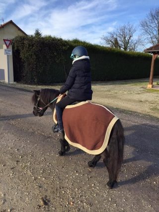 Paseo en pony o caballo 1 hora en Chamoy, de 6 a 12 años