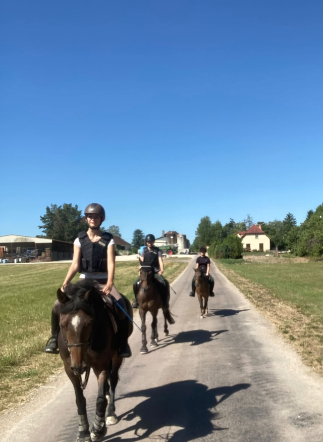  Paseo por un camino rural 