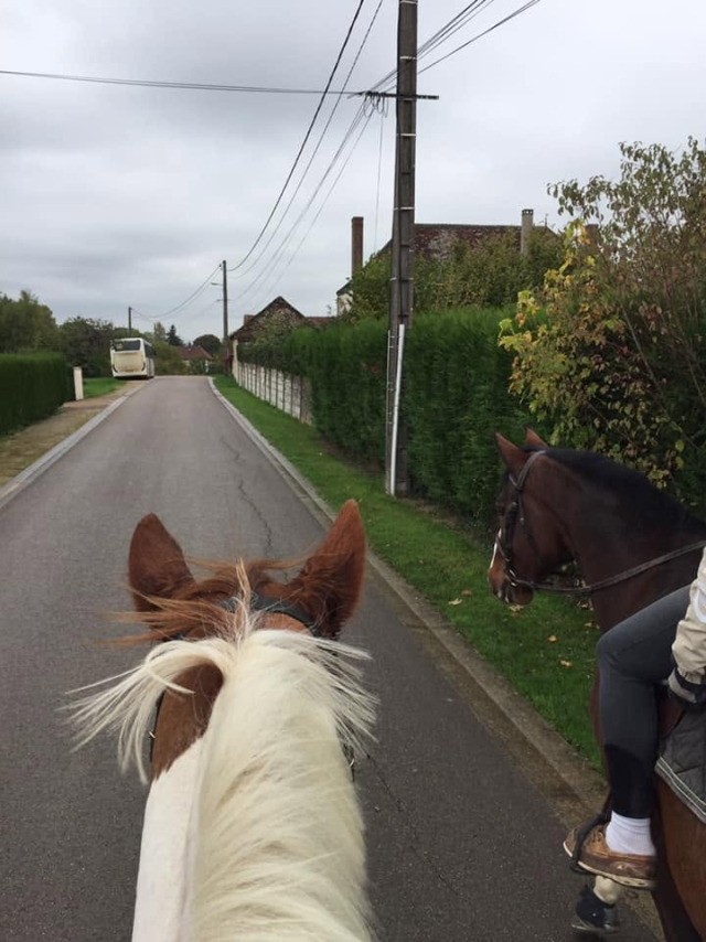  En el camino a Chamoy, entre las orejas del caballo 