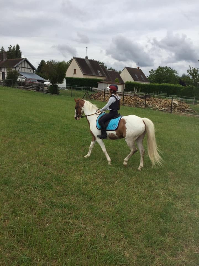  Un jinete sobre un pony picazo, en la pradera 