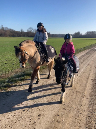 Paseo en pony o caballo 2 horas en Chamoy, de 6 a 12 años