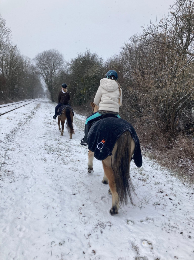  Paseo de invierno por un camino nevado 