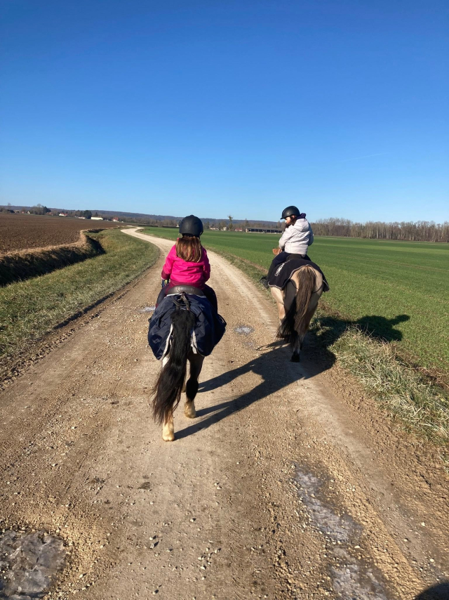  Paseo en pony por un camino de tierra 