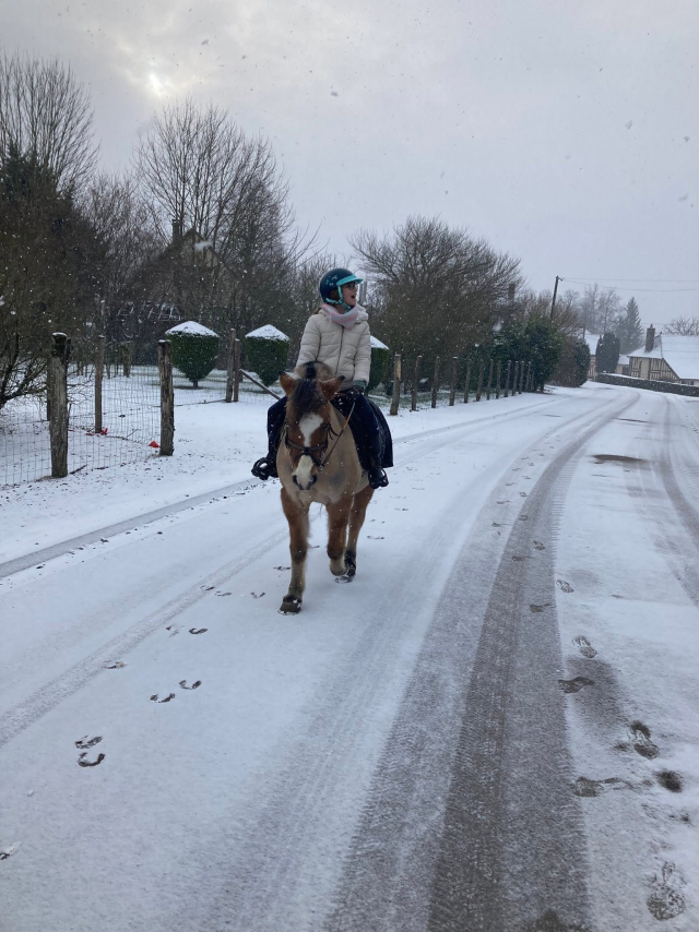  Un jinete en un camino nevado 