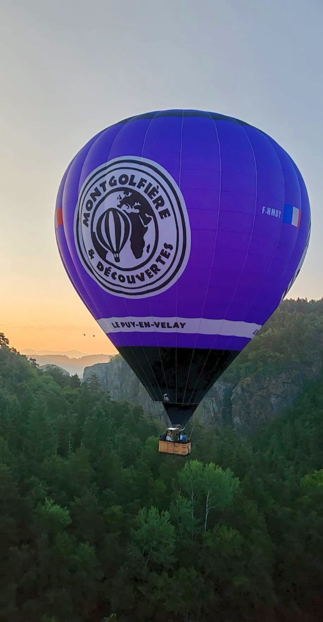  El globo violeta sobre el bosque 