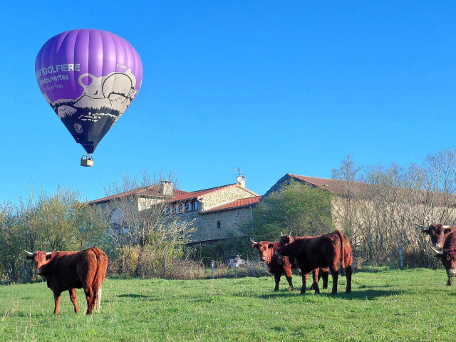 Vuelo en globo aerostático de 1 hora en Puy-en-Velay, menores de 12 años