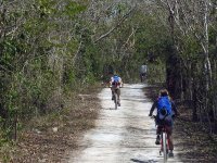 Bicicleta montaña