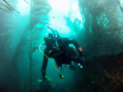 Baja Pro Scuba Divers