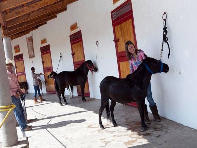 Mundo Granjero Zoológicos