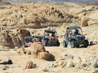 Wild Canyon Buggies