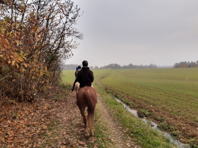 Tour a caballo de 3 horas en el parque Stirone