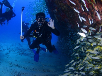 PADI Advanced Open Water Diver Peniche