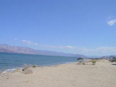 Island tour and snorkeling with whale shark Ensenada