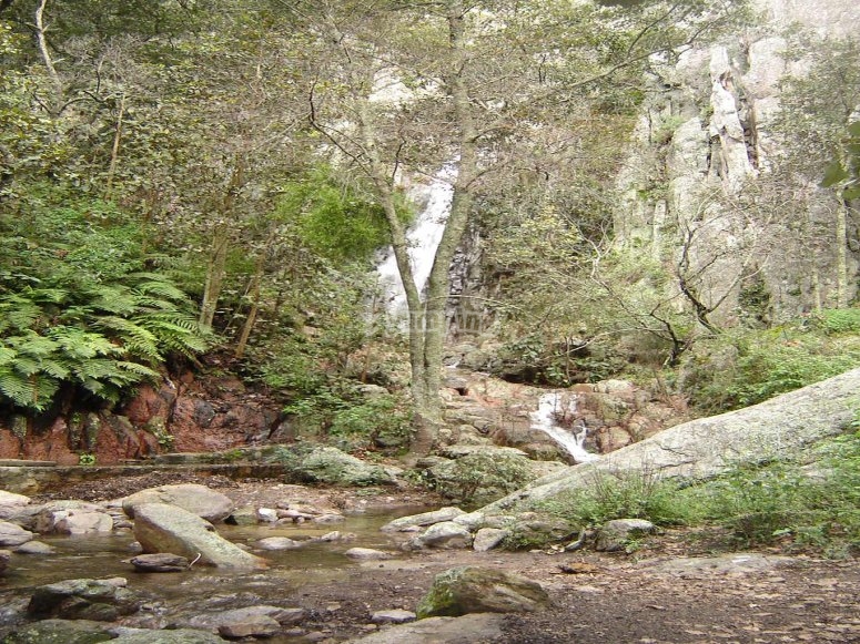 El Peral, precios y reservas 2025