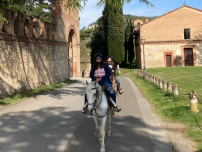Paseo a caballo de 1 hora en Sasso Marconi