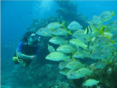 Carey Dive Center