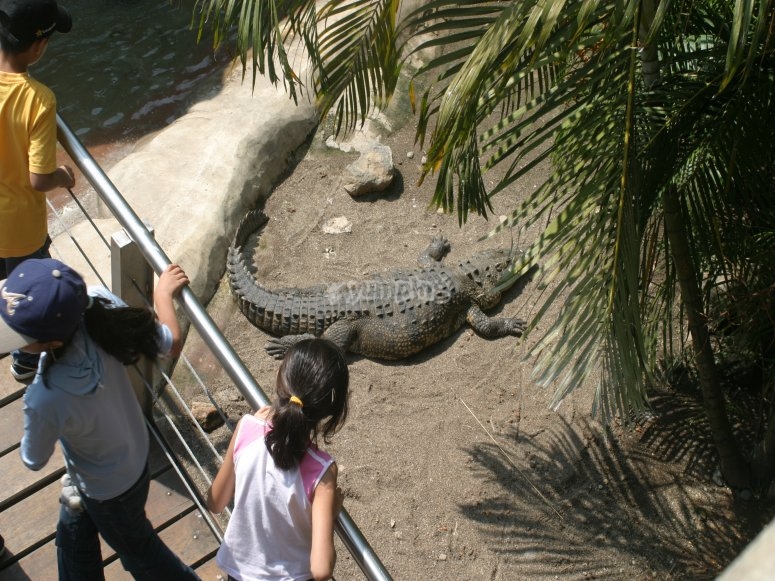 Zoológico Guadalajara, precios y reservas 2023 Zoológico Guadalajara, precios y reservas 2023