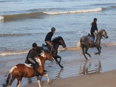 Cabalgatas por la playa Languedoc-Rosellón