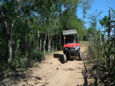 Pacific Moto Rent Buggies