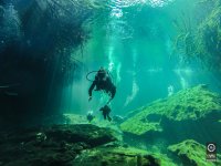 Diving in a cenote 