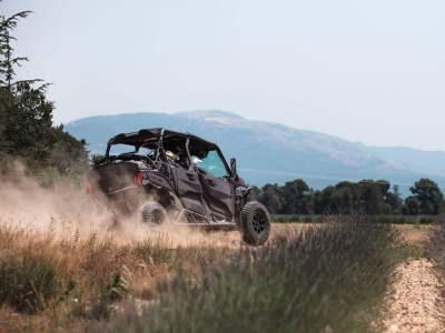 Tour en buggy de 4 plazas por el Teide, 3h30min