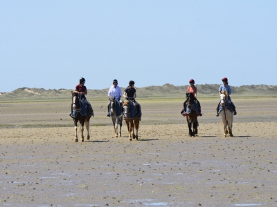 Cabalgatas por la playa Devon