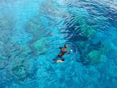 Cancun Riviera Maya Tours Mx Snorkel