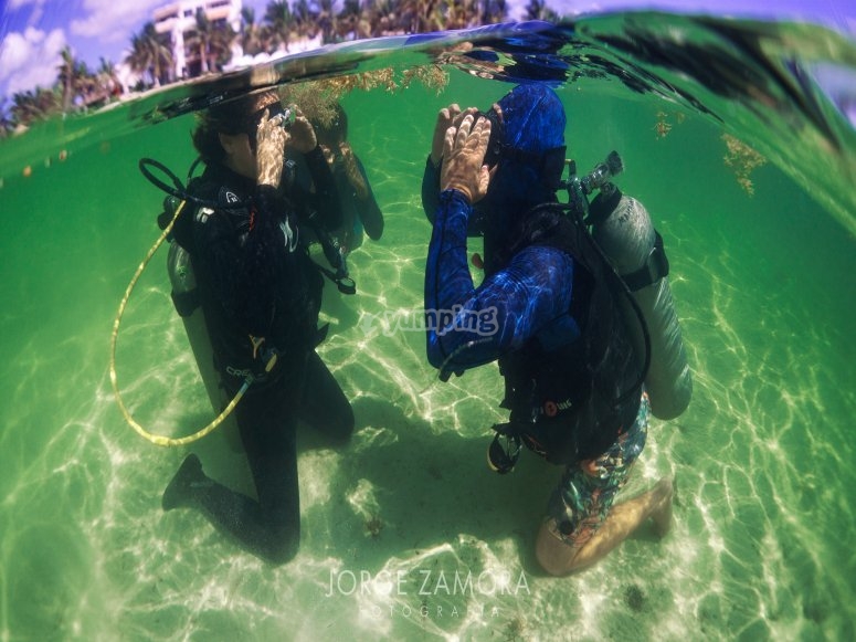 Mahahual Dive Centre, precios y reservas 2023