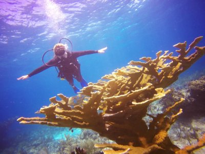 Mahahual Dive Centre