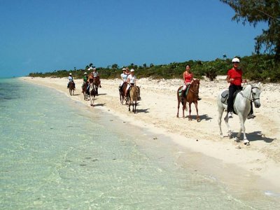 Maya Palms Cabalgatas