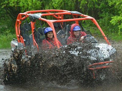 Wild Tours Buggies