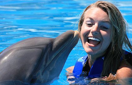 Nado con Delfines en Quintana Roo