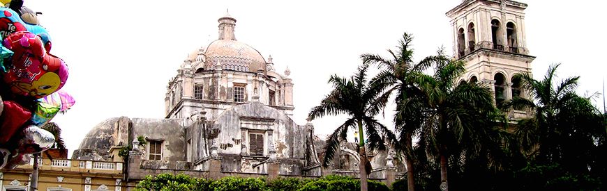 Activities in Xalapa