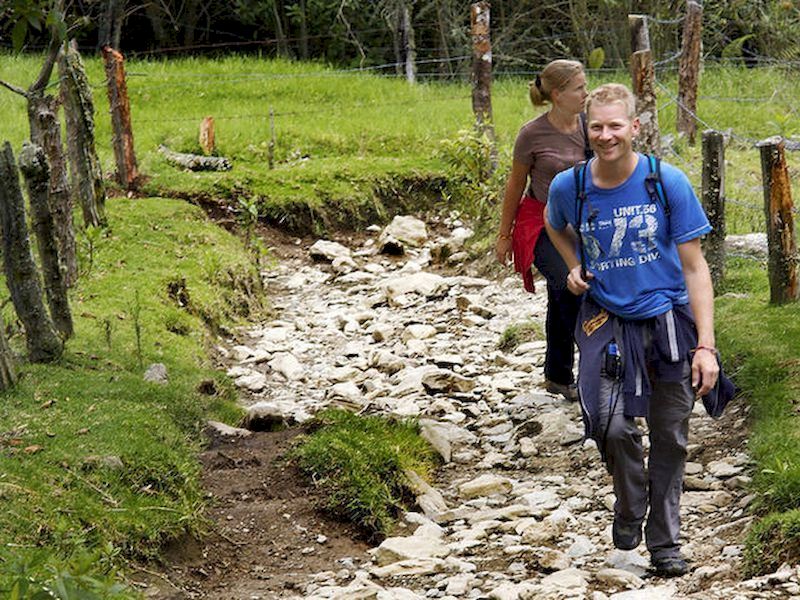 Make new friends whilst walking Make new friends whilst walking