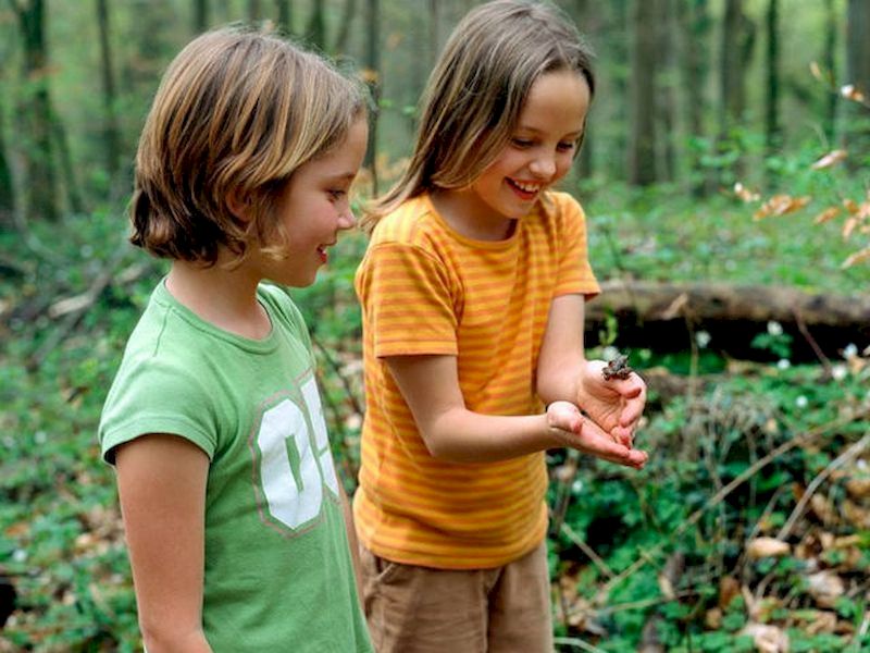 We teach about the importance of taking care of the environment We teach about the importance of taking care of the environment